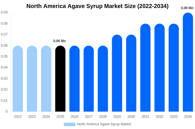 North America Agave Syrup Market Size, Share Report By 2034