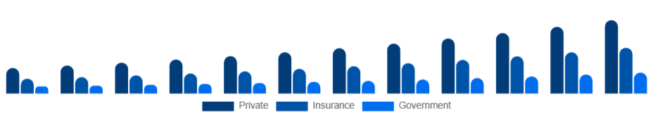 Argentina Air Ambulance Services Market Payer 2025-2033