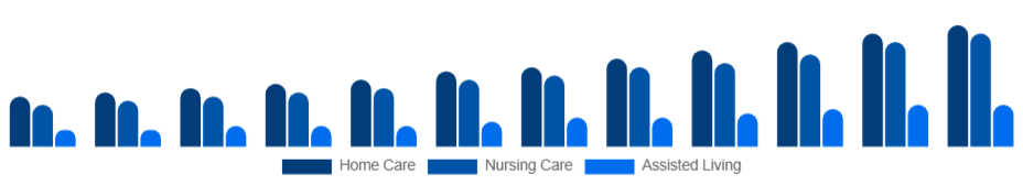 Argentina Elderly Care Market Service Type 2025-2033