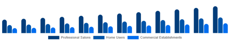 Argentina Hair Care Devices Market End-User 2025-2033