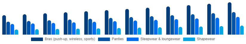 Argentina Intimate Lingerie Market Product Type 2025-2033