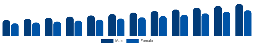 Argentina Private Label Cosmetics Market End User 2025-2033