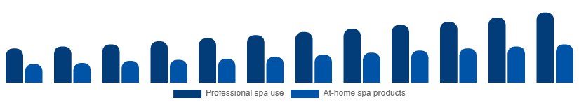 Argentina Spa Products Market End-user 2025-2033