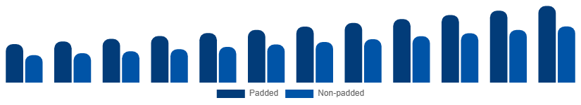 Argentina Sports Bra Market Product 2025-2033