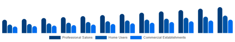 Asia Pacific Hair Care Devices Market End-User 2025-2033