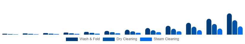 Asia Pacific Online Laundry Service Market Service Type 2025-2033