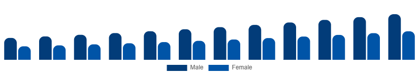 Asia Pacific Private Label Cosmetics Market End User 2025-2033