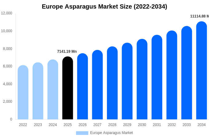 Europe Asparagus Market Size, Share & Growth Report By 2034