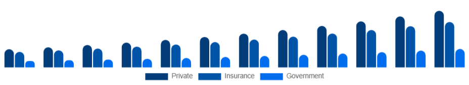 Australia Air Ambulance Services Market Payer 2025-2033