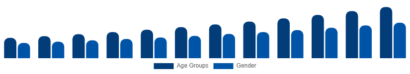 Australia Digital Games Market Gamer Demographics 2025-2033