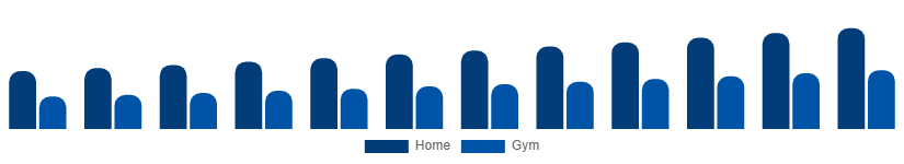Australia Fitness Equipment Market End Use 2025-2033