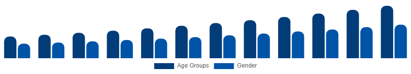 Benelux Digital Games Market Gamer Demographics 2025-2033