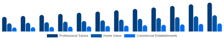 Benelux Hair Care Devices Market End-User 2025-2033