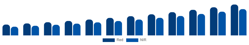 Benelux Red Light Therapy Belts Market Wavelength 2025-2033