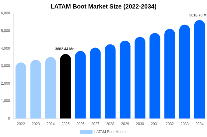 LATAM Boot Market Size, Trends & Forecast Analysis (2026-2034)