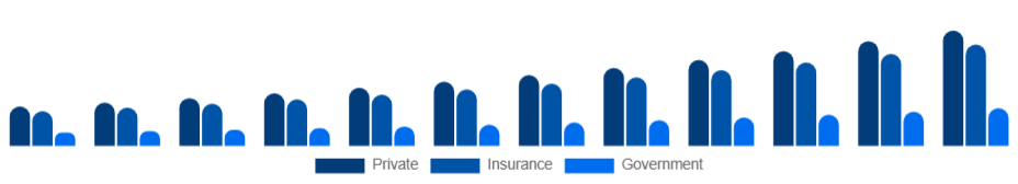 Brazil Air Ambulance Services Market Payer 2025-2033