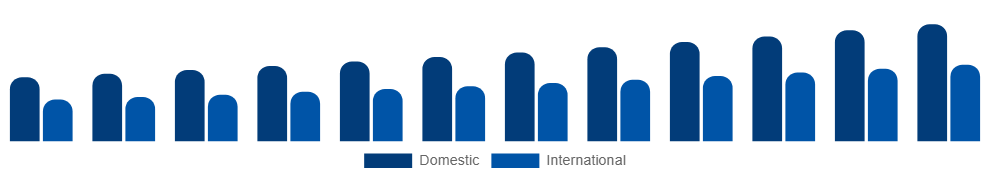 Brazil Destination Spa Market Clientele 2025-2033