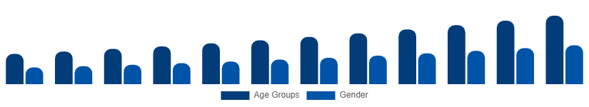 Brazil Digital Games Market Gamer Demographics 2025-2033
