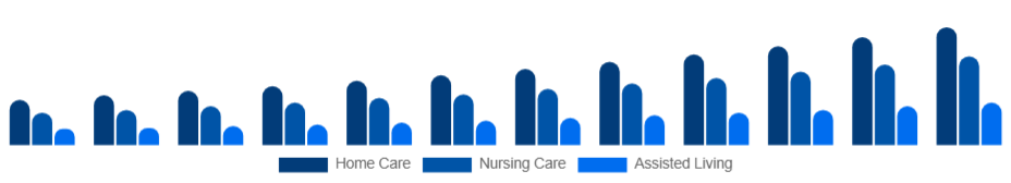 Brazil Elderly Care Market Service Type 2025-2033