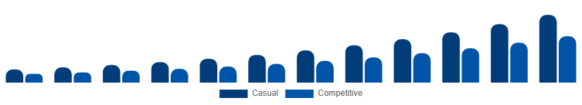 Brazil Fantasy Sports Market User Type 2025-2033