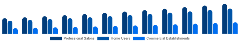 Brazil Hair Care Devices Market End-User 2025-2033