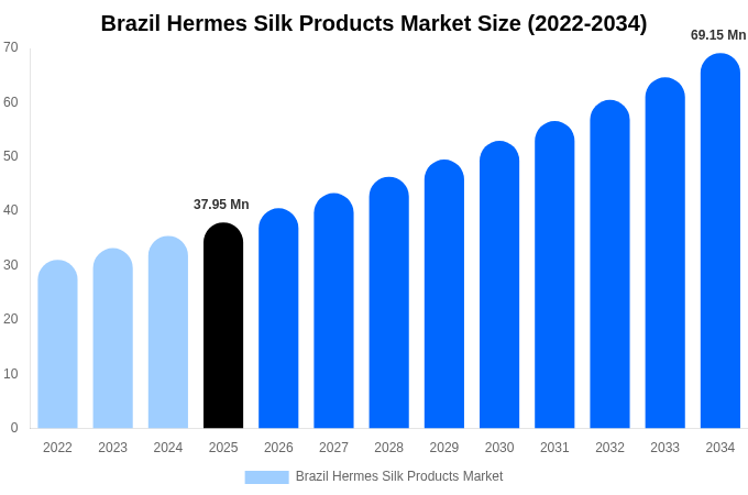 Brazil Hermes Silk Products Market Size Report By 2034