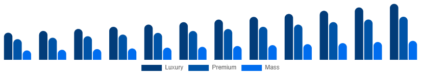 Brazil Leather Goods Market Tier 2025-2033