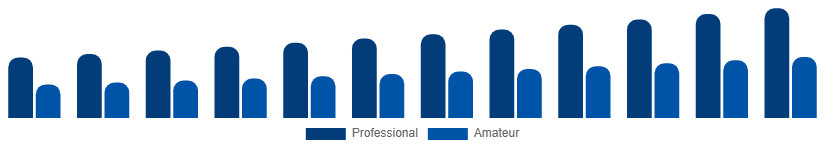 Brazil Musical Instruments Market End Use 2025-2033