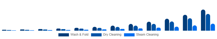 Brazil Online Laundry Service Market Service Type 2025-2033