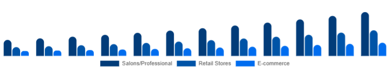 Brazil Organic Hair Color Market Distribution Channel 2025-2033