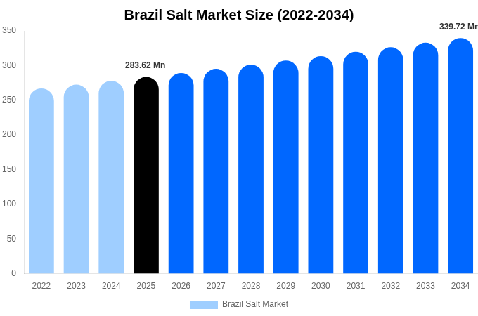 ブラジル 塩市場 市場規模・シェア・成長レポート 2034年まで