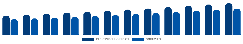 Brazil Winter Sports Equipment Market End User 2025-2033