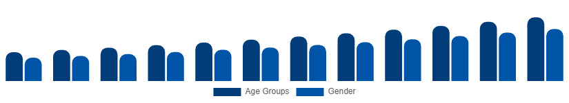 Canada Digital Games Market Gamer Demographics 2025-2033