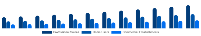 Canada Hair Care Devices Market End-User 2025-2033