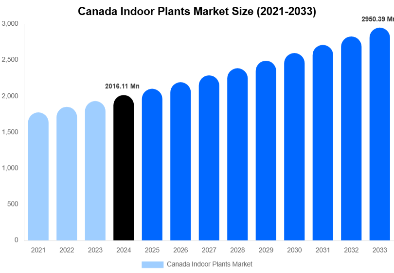 Canada Indoor Plants Market Size, Share & Growth Report By 2033
