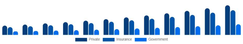 Chile Air Ambulance Services Market Payer 2025-2033