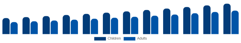 Chile Art and Crafts Market End User 2025-2033