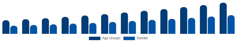 Chile Digital Games Market Gamer Demographics 2025-2033