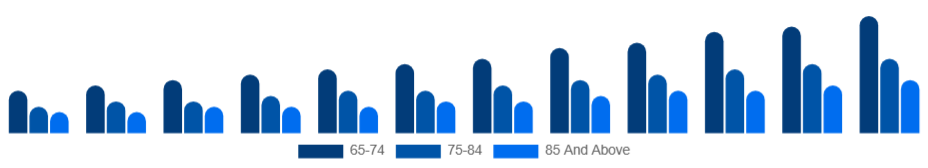 Chile Elderly Care Market Age Group 2025-2033