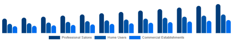 Chile Hair Care Devices Market End-User 2025-2033
