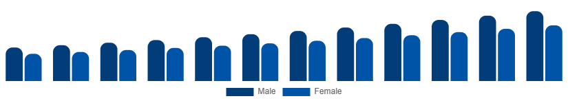 Chile Private Label Cosmetics Market End User 2025-2033