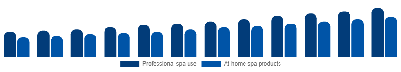 Chile Spa Products Market End-user 2025-2033