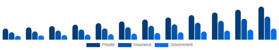 China Air Ambulance Services Market Payer 2025-2033