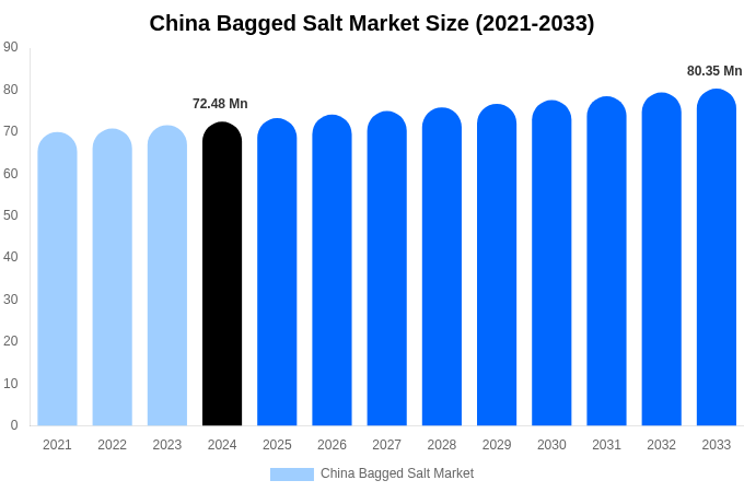 China Bagged Salt Market Size Report By 2033