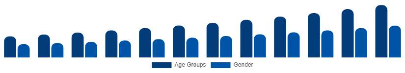 China Digital Games Market Gamer Demographics 2025-2033