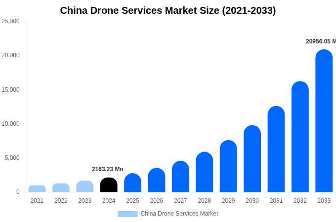 China Drone Services Market Size Report By 2033