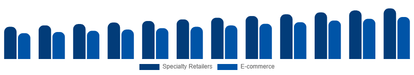 China DSLR Cameras Market Channel 2025-2033