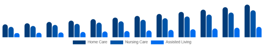 China Elderly Care Market Service Type 2025-2033