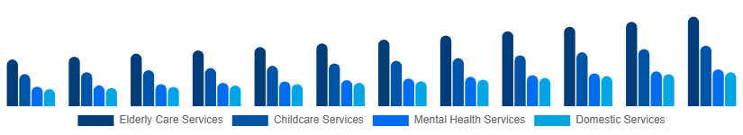 China Individual and Family Services Market Type 2025-2033
