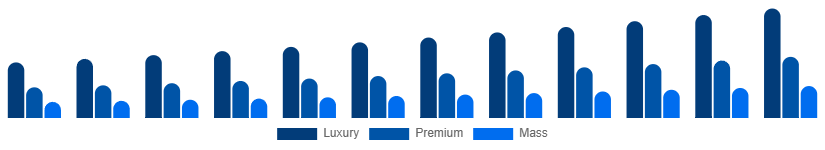 China Leather Goods Market Tier 2025-2033